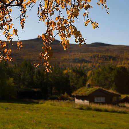 ホテル Oigardseter Fjellstue Høvringen エクステリア 写真