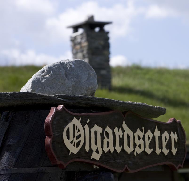 ホテル Oigardseter Fjellstue Høvringen エクステリア 写真