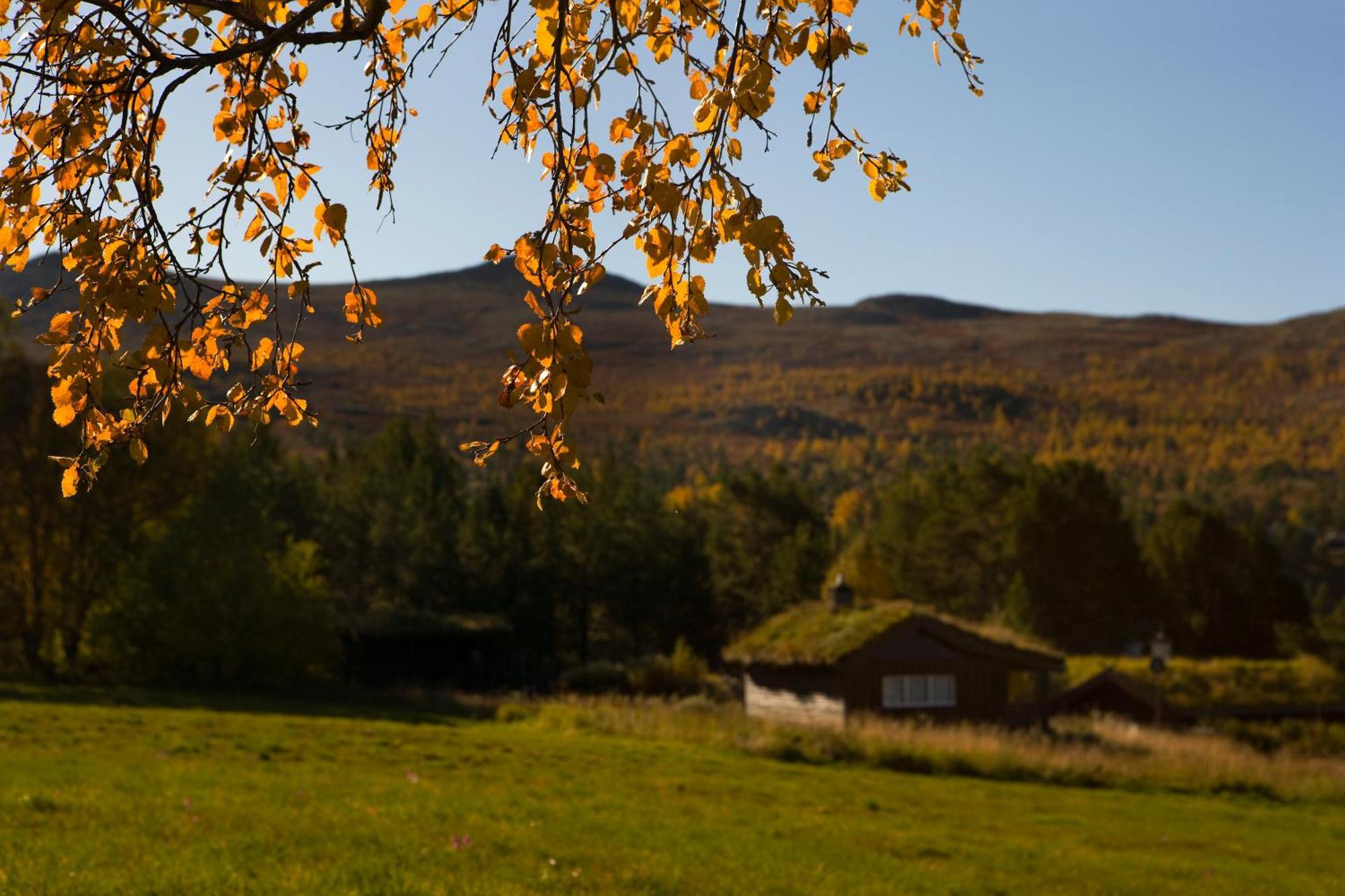ホテル Oigardseter Fjellstue Høvringen エクステリア 写真